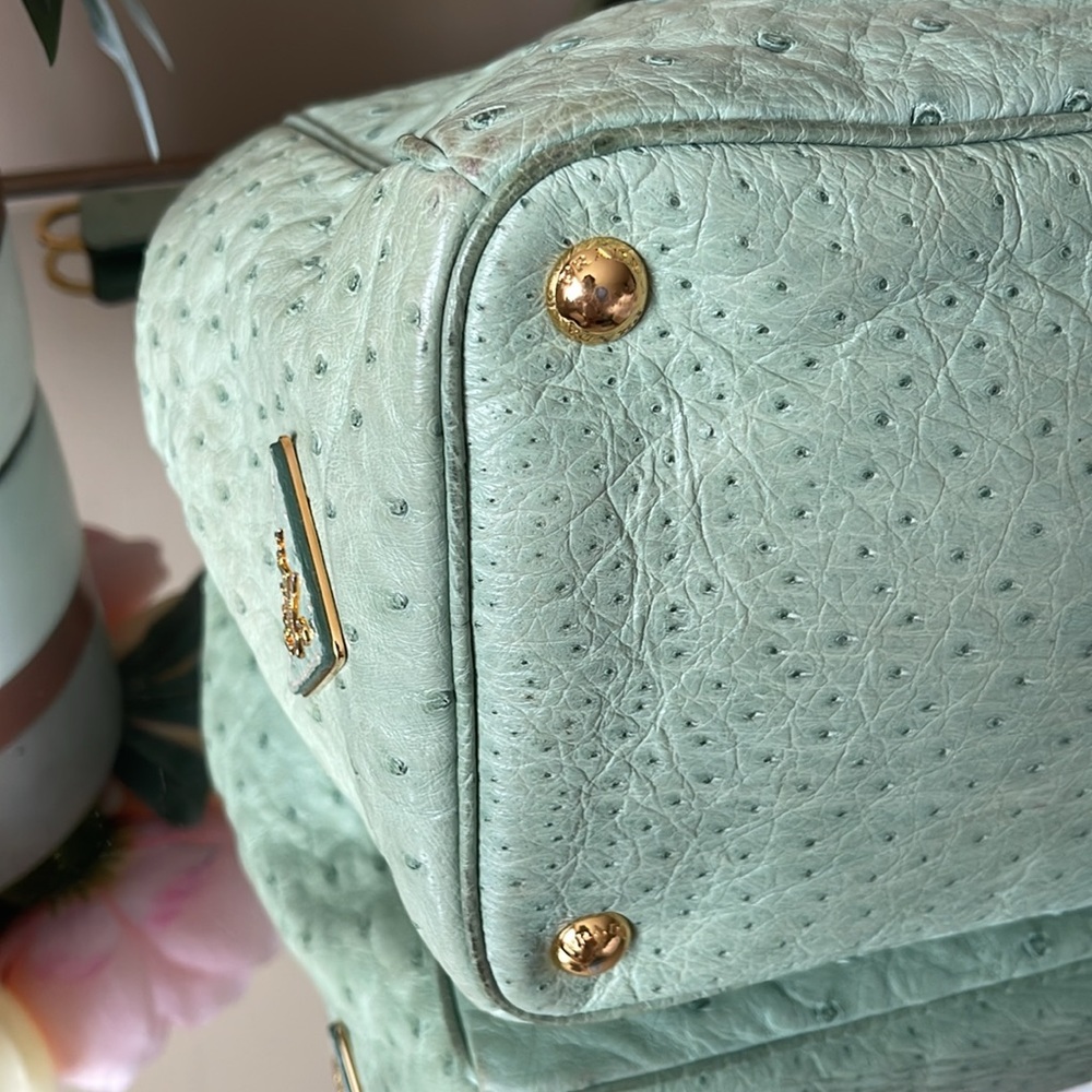 PRADA Ostrich BN1786 Struzzo Tote Bag - Picture 12 of 15